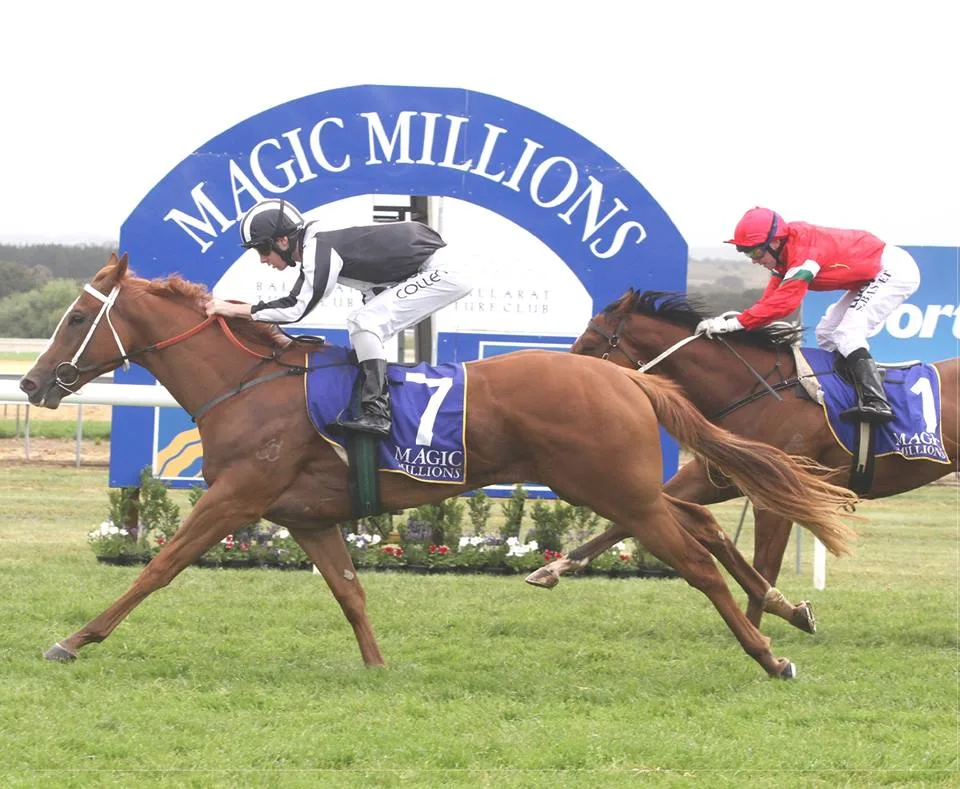 magic-millions-v2-compressed Events and Entertainment near Bayview Beach Holiday Apartments