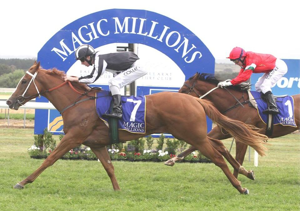 See the spectacular 2014 Jeep Magic Millions Raceday