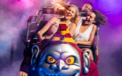 8 Thrill Rides to Experience at Warner Bros. Movie World