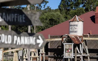 Which Gold Coast Tours Are Worth It for Families?