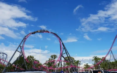 8 Thrill Rides to Experience at Warner Bros. Movie World