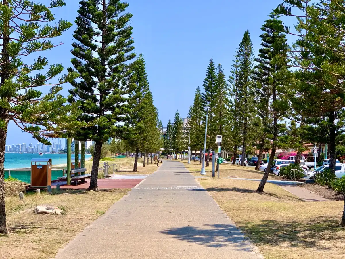 walking-from-bayview-beach-foreshore-path The paved Broadwater foreshore path at Biggera Waters on the Gold Coast, lined with Norfolk Island pines, with the Broadwater alongside